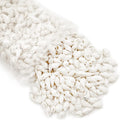 White Clam Cay Cay Sea Shells for Home Decorations, Party Wedding, DIY Crafts (About 350pcs Spiral Shape)