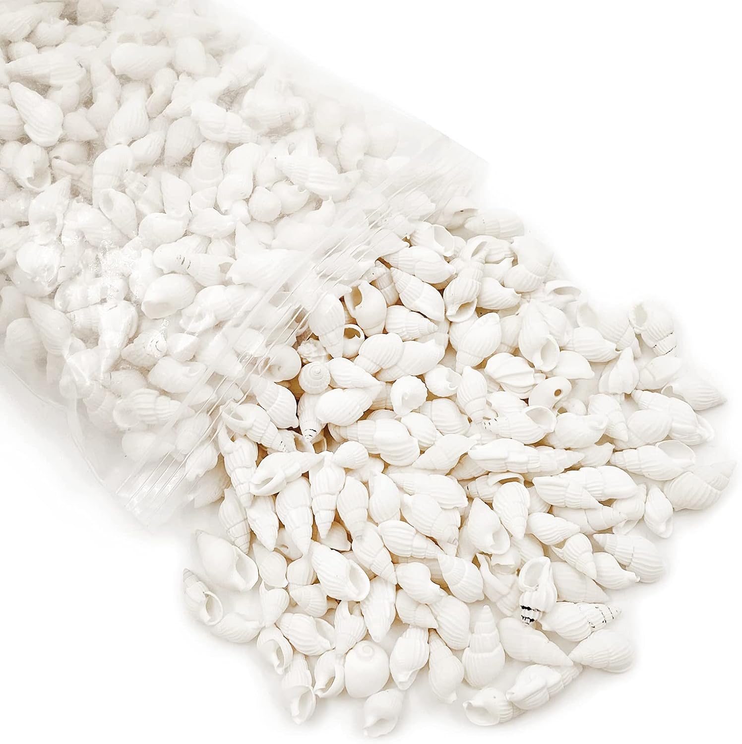 White Clam Cay Cay Sea Shells for Home Decorations, Party Wedding, DIY Crafts (About 350pcs Spiral Shape)
