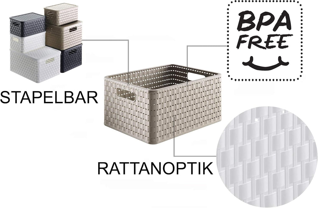 Rotho Country Set of 3 Storage Baskets 18 l, 3 x A4/18l (36,8 x 27,8 x 38,5 cm), Cappuccino