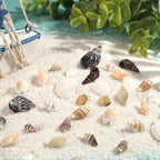 PH PandaHall Sea Shells, 466pcs 15 Style Spiral Shell Beads Undrilled Tiny Natural Sea Shell Ocean Spiral Seashells Miniature Shells for Resin Candle Party Wedding Decor Fish Tank Vase Filler, No Hole