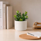 Kurrajong Farmhouse Artificial Plant in Matte White Ceramic Pot | 7.5" Fake Plant for Desk Decor | Artificial Succulent in Pot | Fake Succulent | Faux Plant Indoor | Faux Plant for Shelf Decor