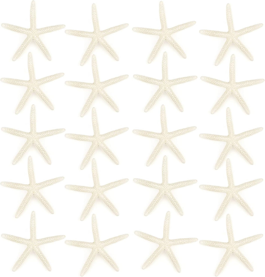 Jangostor 20 PCS Starfish, 2.5" to 4" Natural Seashells Starfish Star Fish Shells Decorations White Starfish Ornaments Perfect for Wedding Beach Theme Party Home Decorations, DIY Crafts, Fish Tank