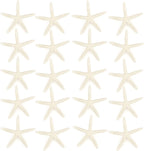 Jangostor 20 PCS Starfish, 2.5" to 4" Natural Seashells Starfish Star Fish Shells Decorations White Starfish Ornaments Perfect for Wedding Beach Theme Party Home Decorations, DIY Crafts, Fish Tank