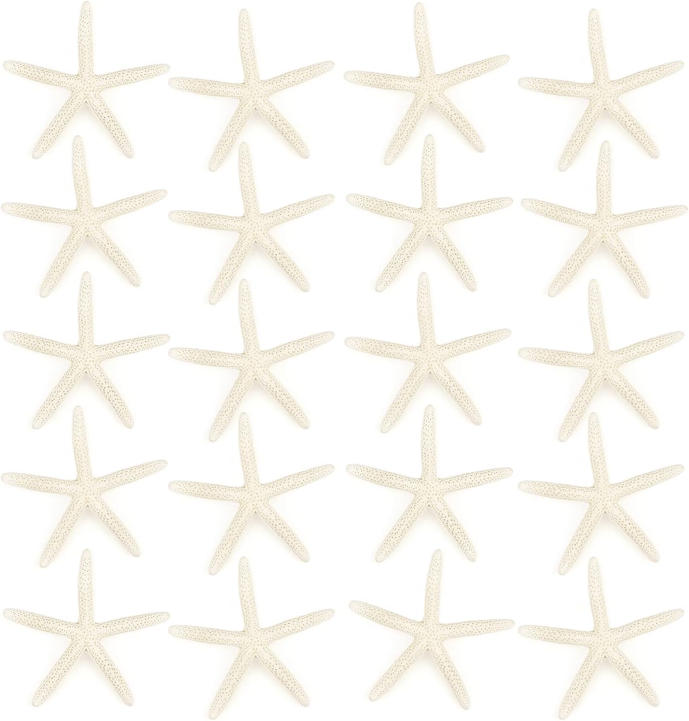 Jangostor 20 PCS Starfish, 2.5" to 4" Natural Seashells Starfish Star Fish Shells Decorations White Starfish Ornaments Perfect for Wedding Beach Theme Party Home Decorations, DIY Crafts, Fish Tank