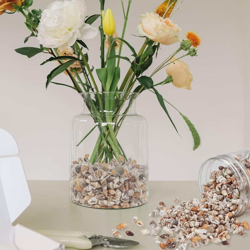 2000 Pcs Tiny Sea Shells for Crafting,Mixed Ocean Beach Mini Seashells Bulk for Home Decorations,Beach Theme Party, Small Shells for Craft, Wedding Decor, Fish Tank Vase Filler(5-12 mm)