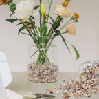 2000 Pcs Tiny Sea Shells for Crafting,Mixed Ocean Beach Mini Seashells Bulk for Home Decorations,Beach Theme Party, Small Shells for Craft, Wedding Decor, Fish Tank Vase Filler(5-12 mm)