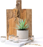 Kurrajong Farmhouse 8" high Artificial Plant in Pot - Small Faux Plant for Desk, Bathroom, Kitchen, Shelf & Coffee Table - Realistic Indoor Plant for Home Decor