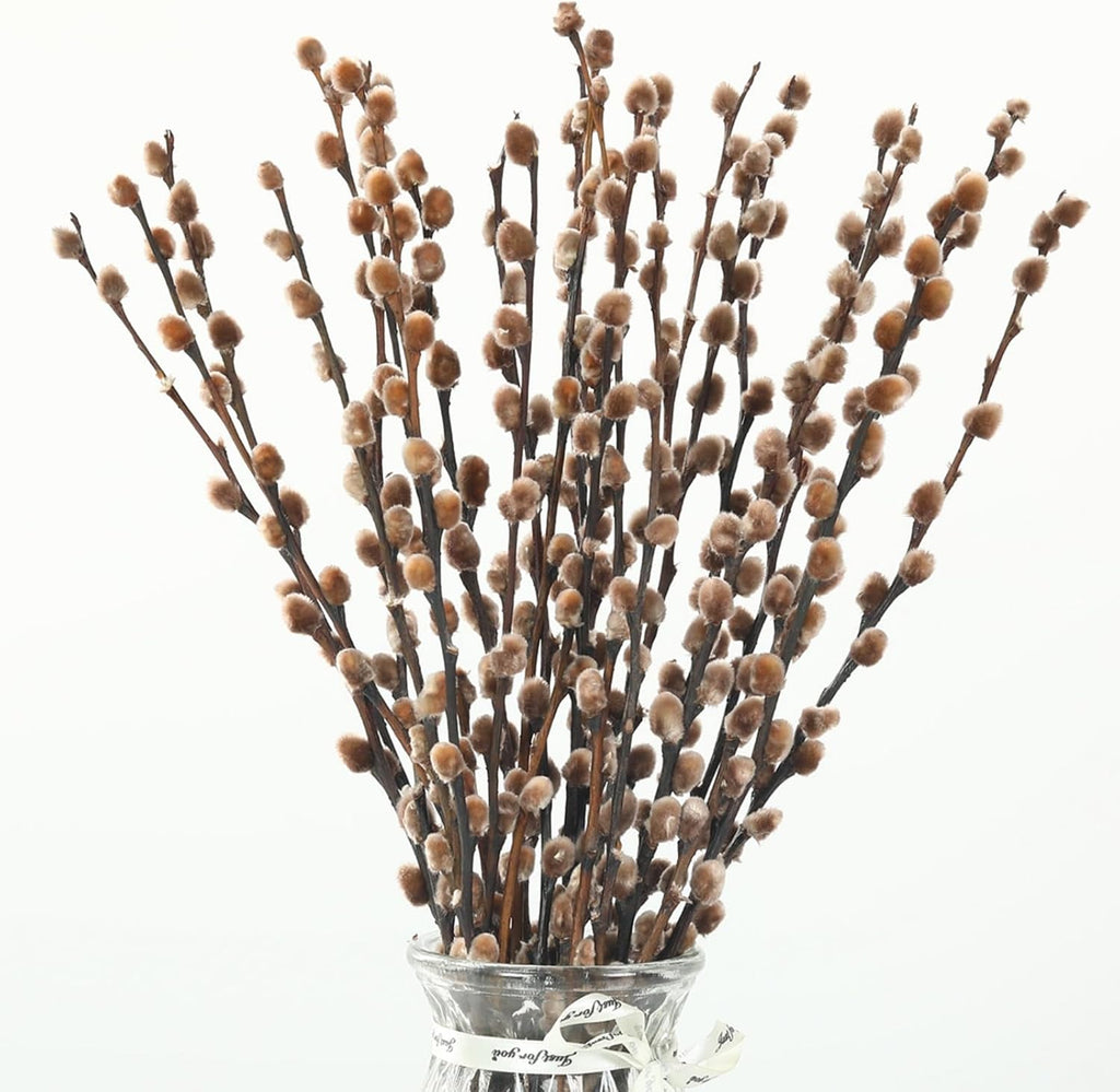 Natural Preserved Dried PussyWillow Branches for Vases, 20 Stems Real Willows, 17” Snow Pussywillows, Dried Flowers for Indoor Decor, Wedding Home DIY Floral Art Plants Fireplace, Brown