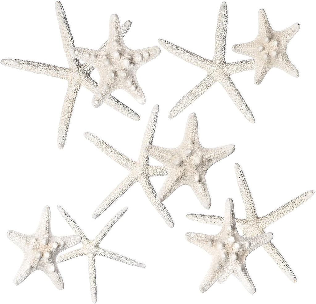 Nautical Crush Trading Starfish & Knobby Starfish Decor - (5) White Starfish 4-6" and (5) Knobby Starfish 2-3.5" - Beach Wedding Decor - Coastal Party Decorations - Seashell Decor