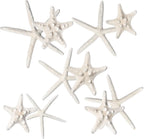 Nautical Crush Trading Starfish & Knobby Starfish Decor - (5) White Starfish 4-6" and (5) Knobby Starfish 2-3.5" - Beach Wedding Decor - Coastal Party Decorations - Seashell Decor