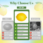 Toopify Fake Lemons, 20 Pcs Ultra Realistic Artificial Fruit with Natural Texture, Matte Non-Glossy Home Kitchen Table Decor for Photography and Party