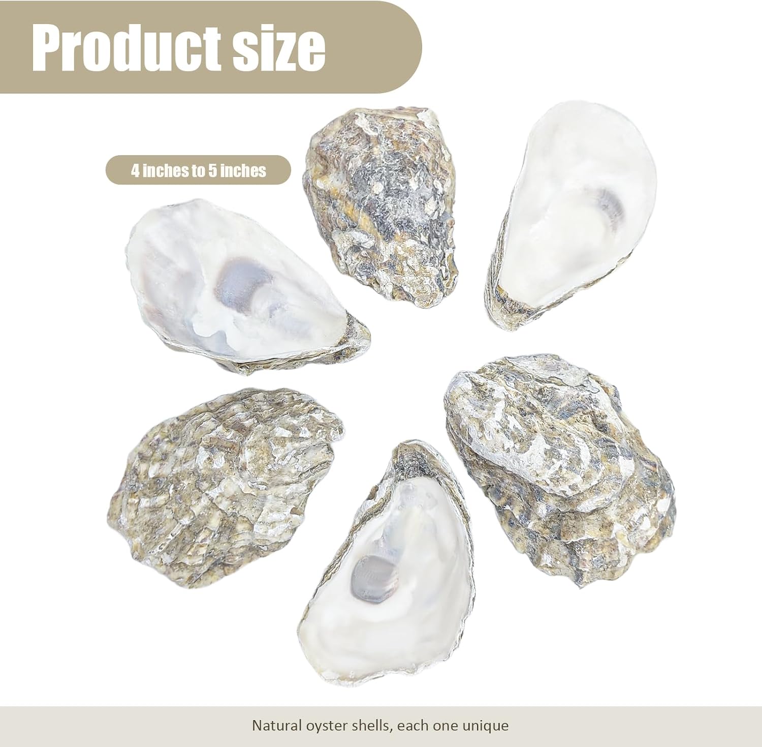 stonechic 60PCS Oyster Shells 4"-5" Oyster Shells Bulk Large Oyster Shells for Home Decor Vase Filler, Ornaments, DIY Arts and Crafts Sea Shells, Deeper Shells