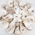 QEQEKAKA 30PCS Oyster Shells Flat & Concave 4"-5" Large Oyster Shells for Crafts Natural Oyster Shells Bulk, for Home Vase Filler, Xmas Ornaments, DIY Arts and Crafts Sea Shells