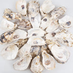 QEQEKAKA 30PCS Oyster Shells Flat & Concave 4"-5" Large Oyster Shells for Crafts Natural Oyster Shells Bulk, for Home Vase Filler, Xmas Ornaments, DIY Arts and Crafts Sea Shells