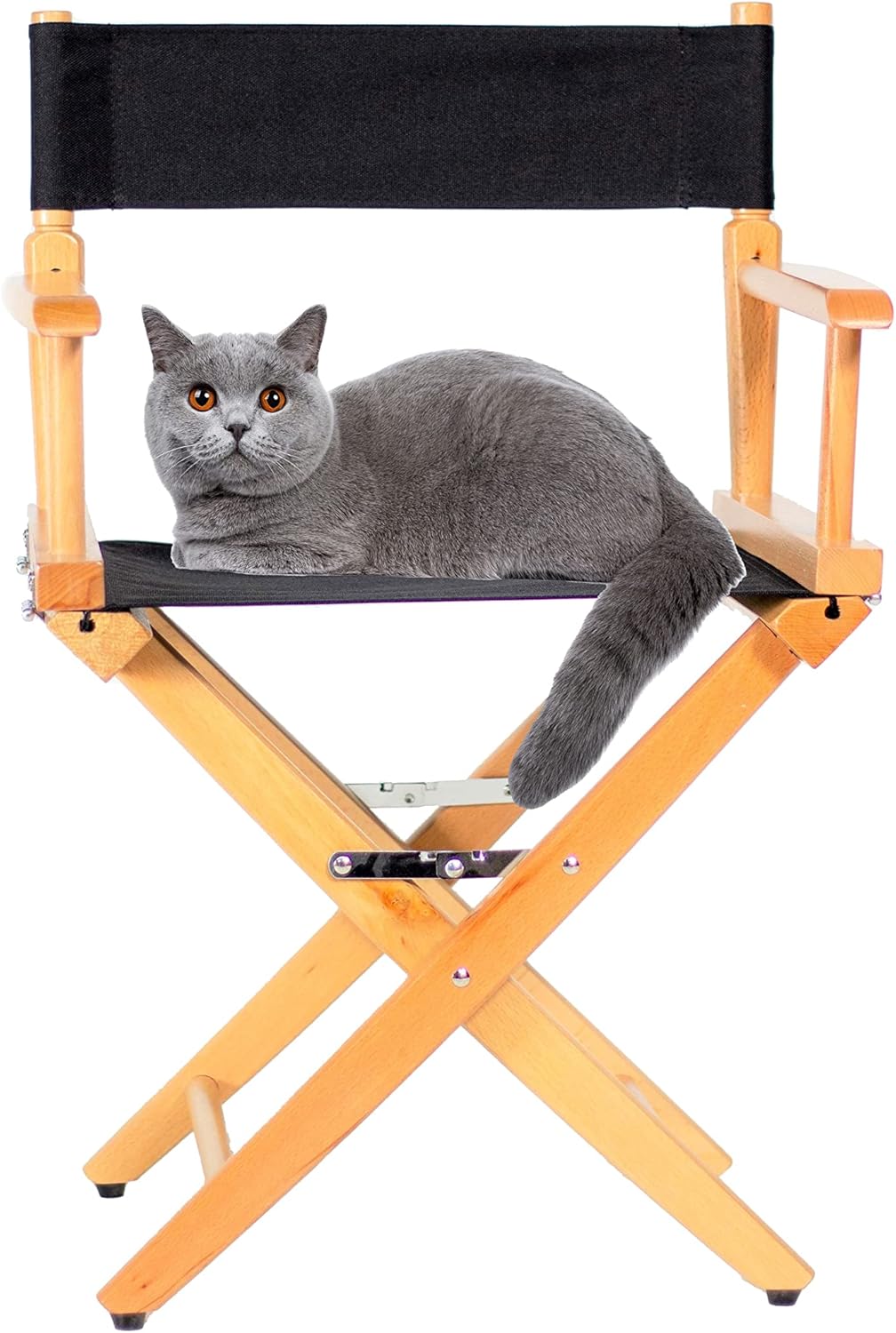Filmcraft Junior Director's Chair - Kids and Pets - Shortest Professional Director's Chair 15.5" inch seat Height for Set, Stage and Studio