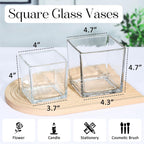 KEYWING 6 Pack Square Glass Vase 5" x 5" x 5", Clear Flower Vases for Centerpieces, Square Flower Vase Candle Holder for Wedding, Party, Home Office Decoration
