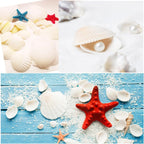 48 PCS Scallop Shells Natural Seashell, 1.5" to 2" White Scallop Shells Small Seashells for Crafts Wedding Decor Beach Theme Party, Fish Tank and Vase Filler