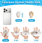 30Pcs 2-3 Inch Concave Small Oyster Shells for Crafts, Cleaned Natural Oyster Shells for Decoupage Vase Filler Jewelry Dish Place Cards DIY Decor Candle Wedding Coastal Seashells Art