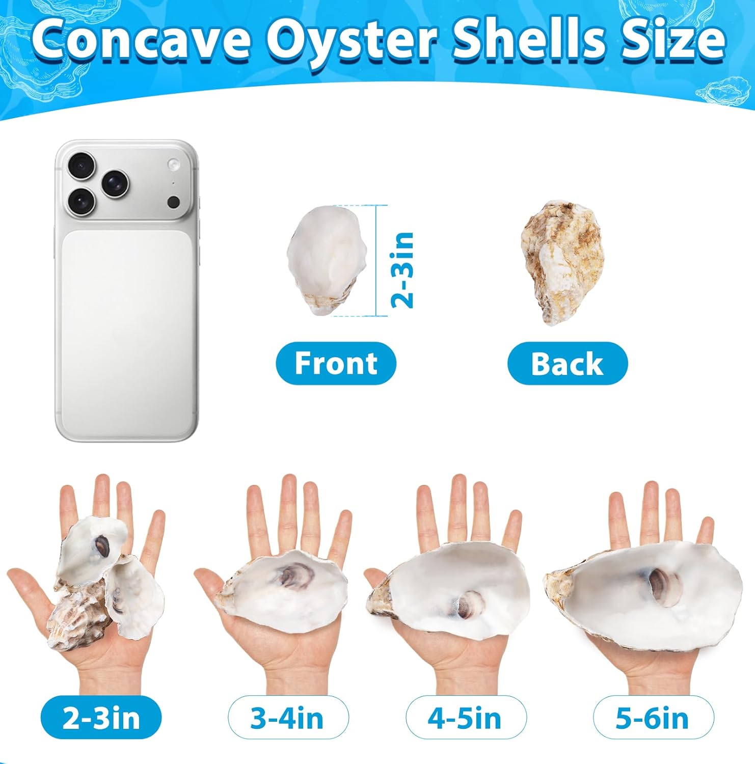 30Pcs 2-3 Inch Concave Small Oyster Shells for Crafts, Cleaned Natural Oyster Shells for Decoupage Vase Filler Jewelry Dish Place Cards DIY Decor Candle Wedding Coastal Seashells Art