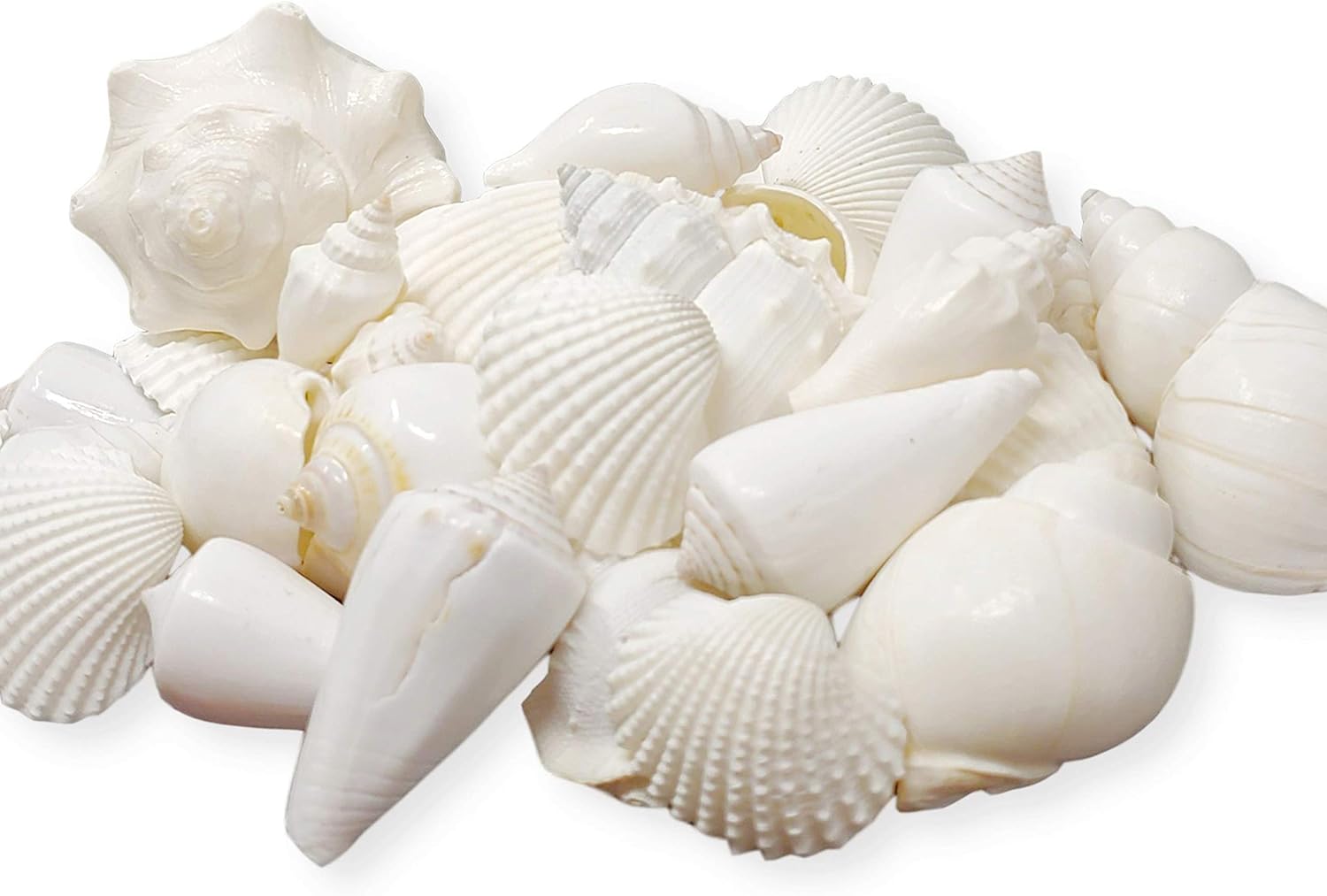 Tumbler Home Mix of White Seashells - Set Includes 1 Pound White Shells up to 3 inches - Home Decor, Vase Filler, Wedding Centerpiece, Christmas, Craft, Candle Making-Sea Shell Mix