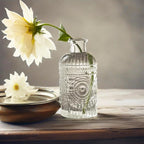 TIWPAJS Propagation Vases for Plants, Bud Vases, Small Glass Vase for Flowers, Home Decor, Table Decor, Shelf Decor, Desk Decor, Office Decor