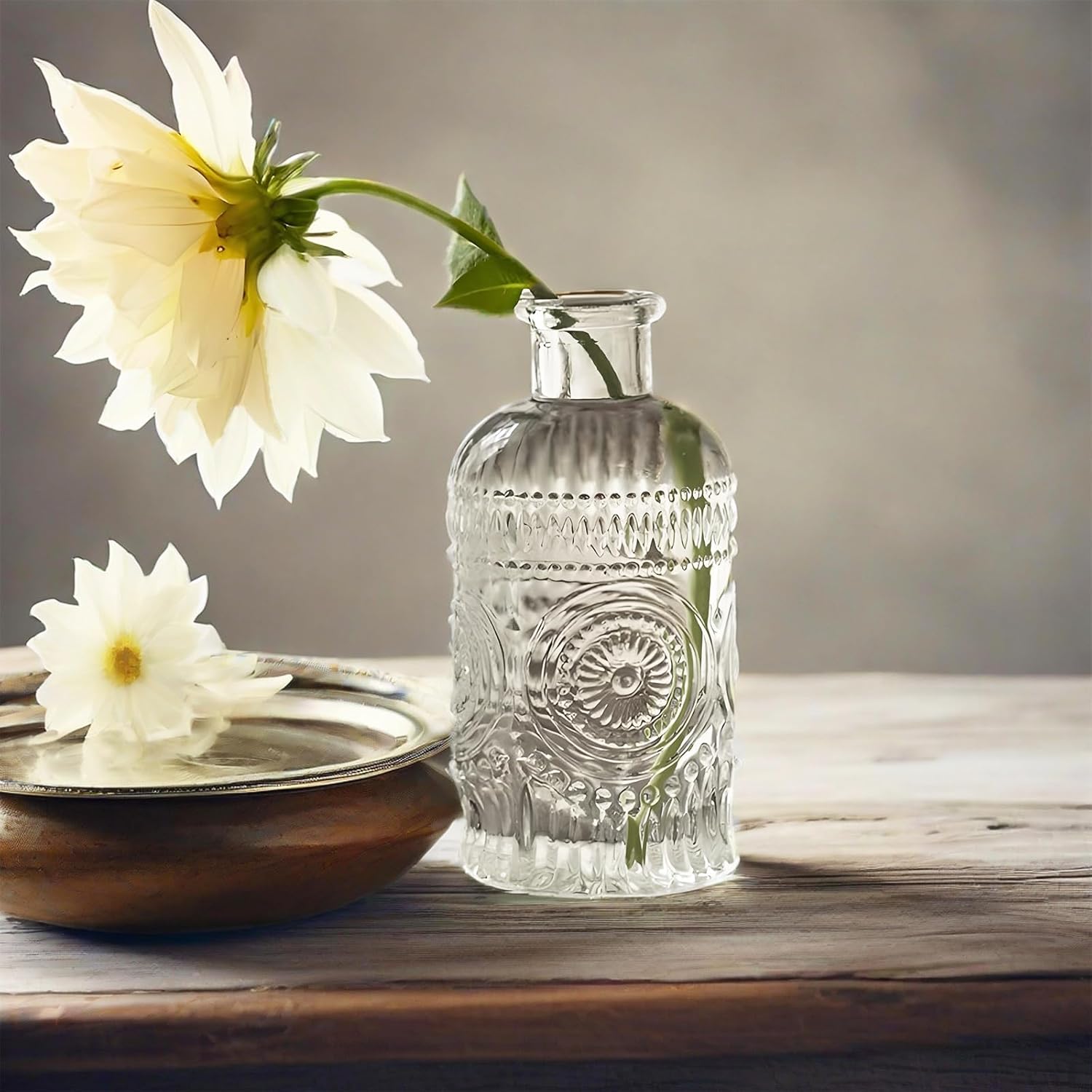 TIWPAJS Propagation Vases for Plants, Bud Vases, Small Glass Vase for Flowers, Home Decor, Table Decor, Shelf Decor, Desk Decor, Office Decor