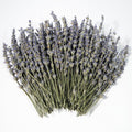 Dried Lavender 150+ Stems - Natural Purple Flowers Compact Short Stem Lavender 7.2-8.2 Inch for Home Decor, Wedding DIY Crafts, Small Vase Arrangements & Aromatherapy, Fresh Fragrance (150, 7.2"-8.2")