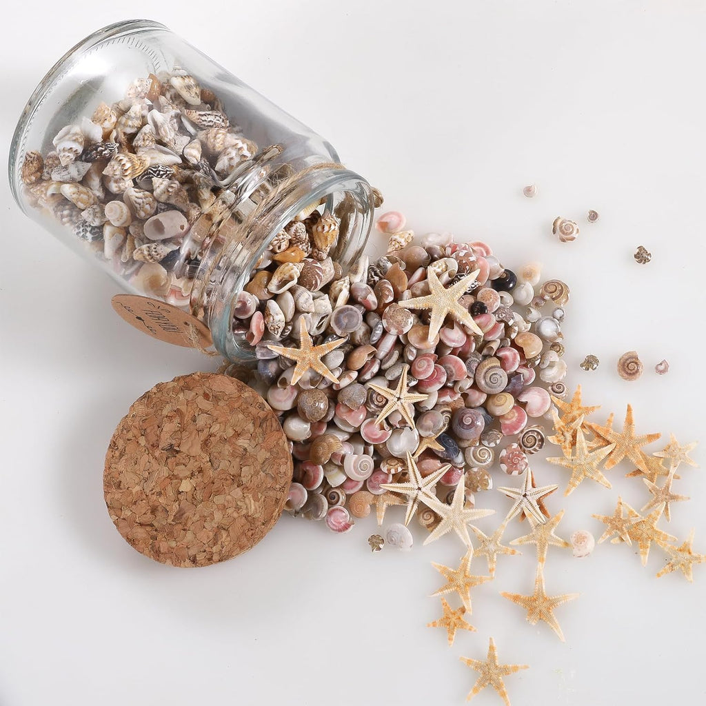 PPCLION 60pcs Tiny Starfish 1800 Pcs Tiny Mini Small Sea Shells for Crafting Spiral Conch Shells for Crafts Charms for Home Decorations Candle Decor DIY Fish Tank and Beach Vase Filler
