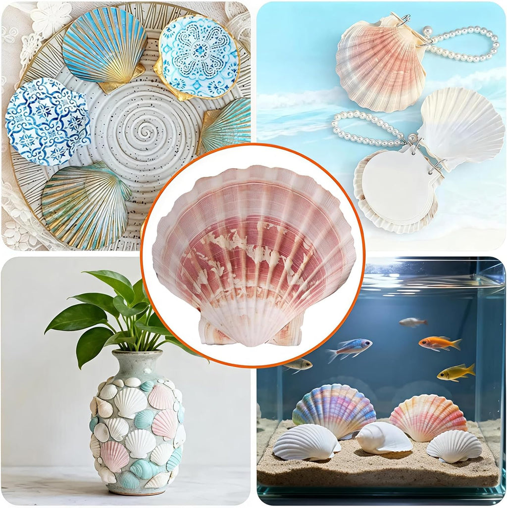 10pcs Sea Shells 4''-4.5'' Large Natural Scallop Shells Pink & Yellow Hawaiian Scallop Shells for Crafts, Seashell Beach Decorations for Home Decor, Beaching Wedding Decoration