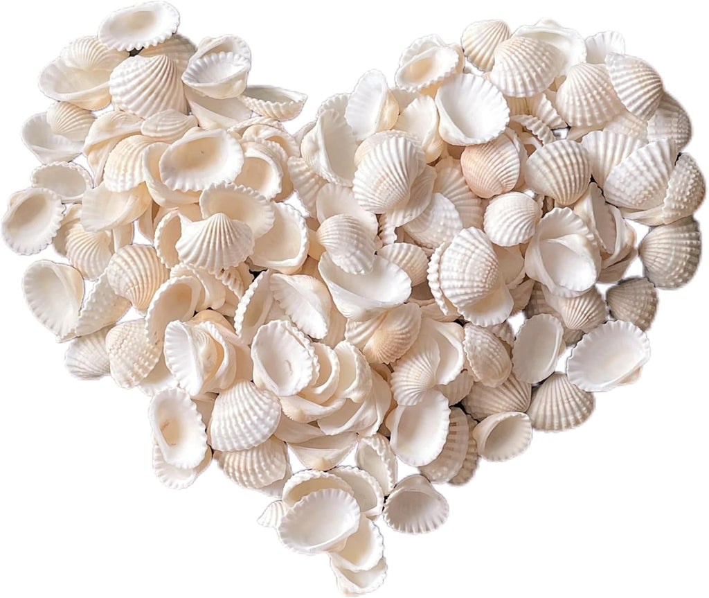 140Pcs Tiny Sea Shells - 0.8-1.2 inches Natural Small White Clam Shells for Crafts Bulk for Home Decor, Beach Theme Party, Fish Tank Vase Filler, Bracelet Making
