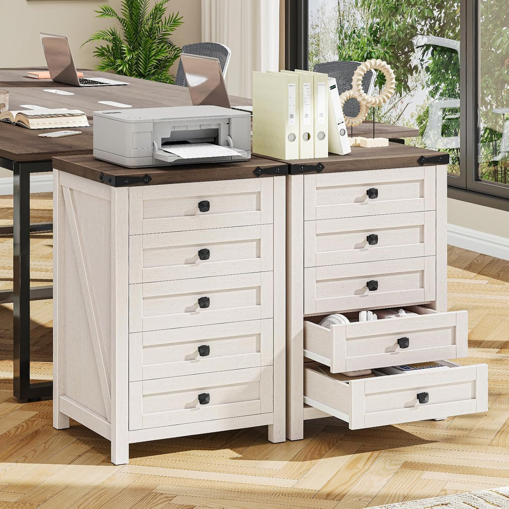 Halitaa 5 Drawer Storage Cabinet, Office Storage Cabinet with 5 Drawers, Small Farmhouse Printer Stand for Home Office, Rustic White and Brown