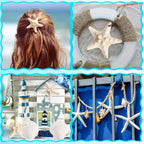 16 Pieces Starfish and Scallop Shells for Crafts 2.6"-3.8" Large Seashells Natural Sea Shells for Crafts Christmas Decor Beach Party Wedding Fishtank