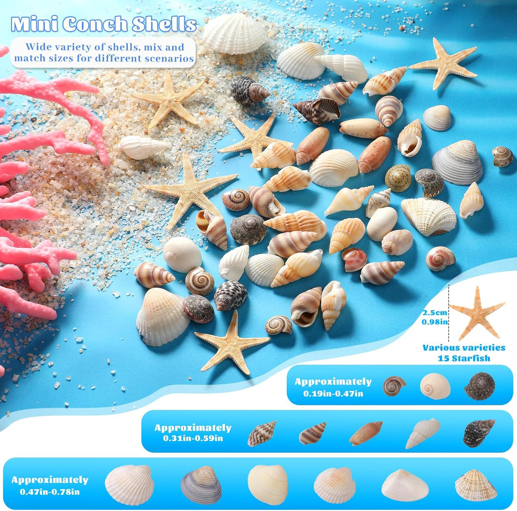 1200 Pcs Tiny Sea Shells, Seashells for Crafts with Small Shells Starfish Mixed Ocean Beach Spiral Seashells for Beach Party, Fish Tank and Vase Filler, Wedding Decor, Diy Jewelry Candle Making