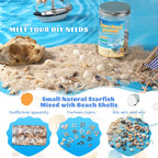 1200 Pcs Tiny Sea Shells, Seashells for Crafts with Small Shells Starfish Mixed Ocean Beach Spiral Seashells for Beach Party, Fish Tank and Vase Filler, Wedding Decor, Diy Jewelry Candle Making