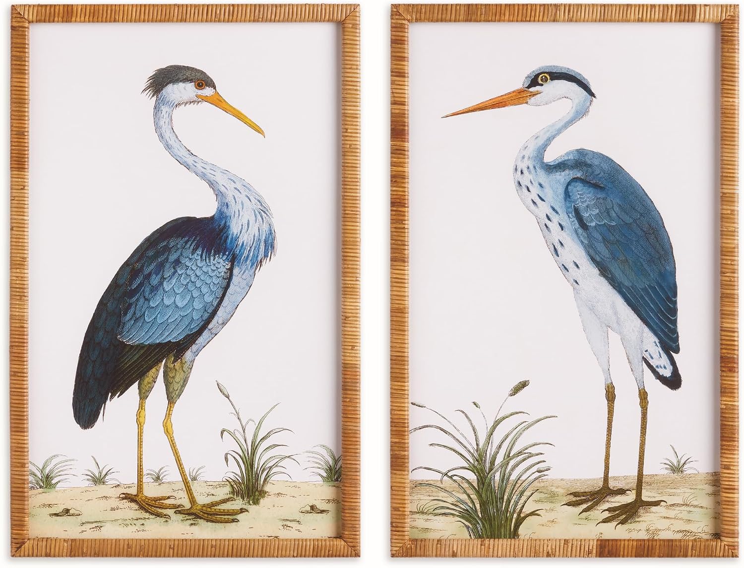 Napa Home & Garden Handsome Heron Pair Prints, Set of 2