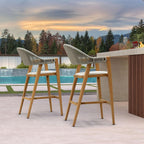 PURPLE LEAF Outdoor Bar Height Bar Stool Set of 2 Rattan Bar Chair with Back Aluminum Modern Barstools for Patio Backyard Indoor Kitchen Teak
