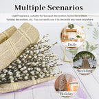 60 Stems 100% Natural 17 Inches Preserved Pussy Willow Flowers Pussy Willow Branches for Vases White Pussywillows for Festival Easter Wedding Home Party Hotel Fireplace Decor