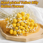 40PCS Natural Dried Flowers Craspedia Billy Balls Flowers, Billy Buttons Floral Bouquet Bundles, Yellow Real Dry Plant for Flower Arrangements Wedding Home Tall Vase Decor