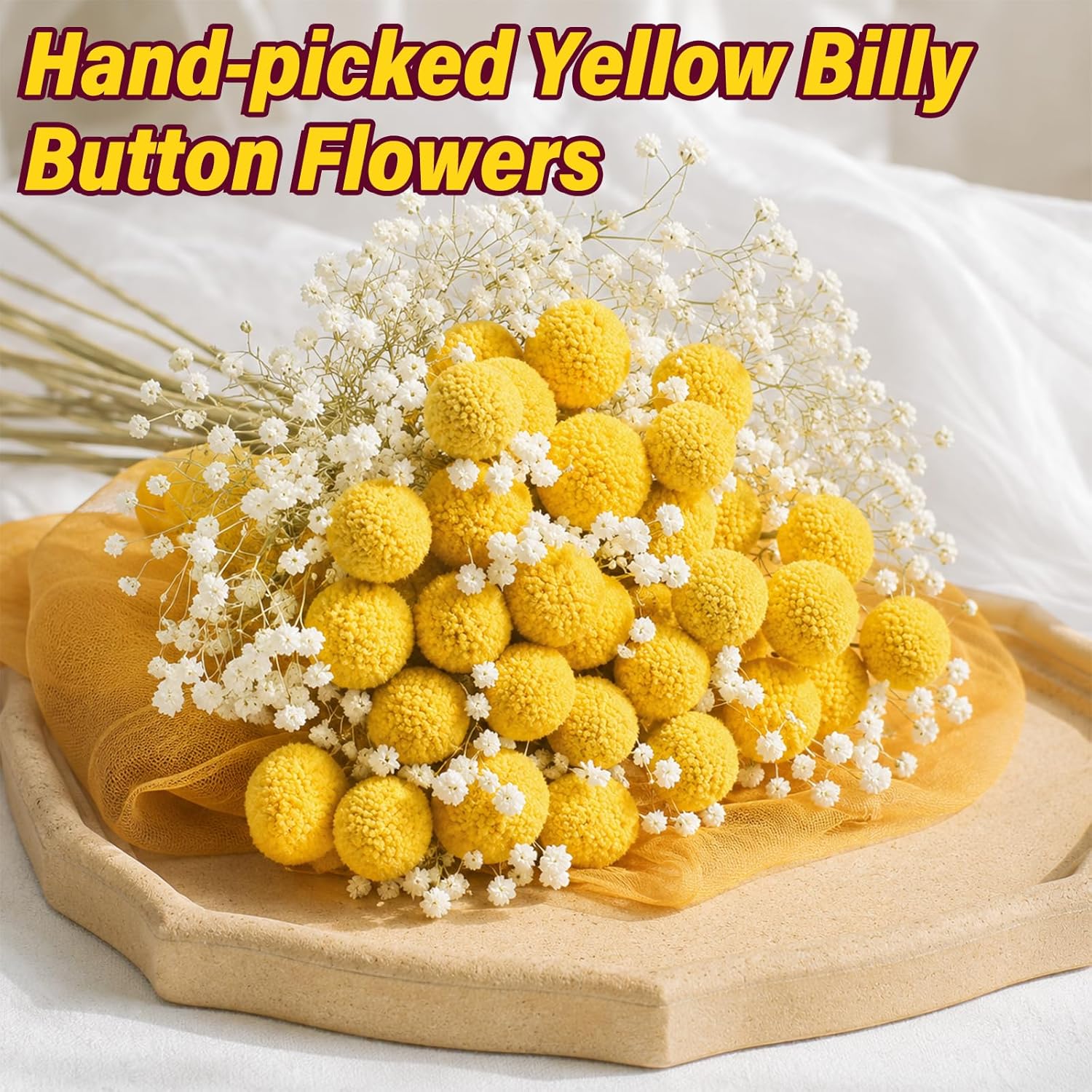 40PCS Natural Dried Flowers Craspedia Billy Balls Flowers, Billy Buttons Floral Bouquet Bundles, Yellow Real Dry Plant for Flower Arrangements Wedding Home Tall Vase Decor