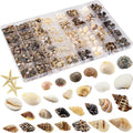 Small Sea Shells 1200Pcs Tiny Seashells Mixed Size Ocean Beach Starfish, Conch Shell for Crafts Vase Filler Fish Tank Beach Theme Party Home Wedding Decor