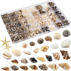 Small Sea Shells 1200Pcs Tiny Seashells Mixed Size Ocean Beach Starfish, Conch Shell for Crafts Vase Filler Fish Tank Beach Theme Party Home Wedding Decor