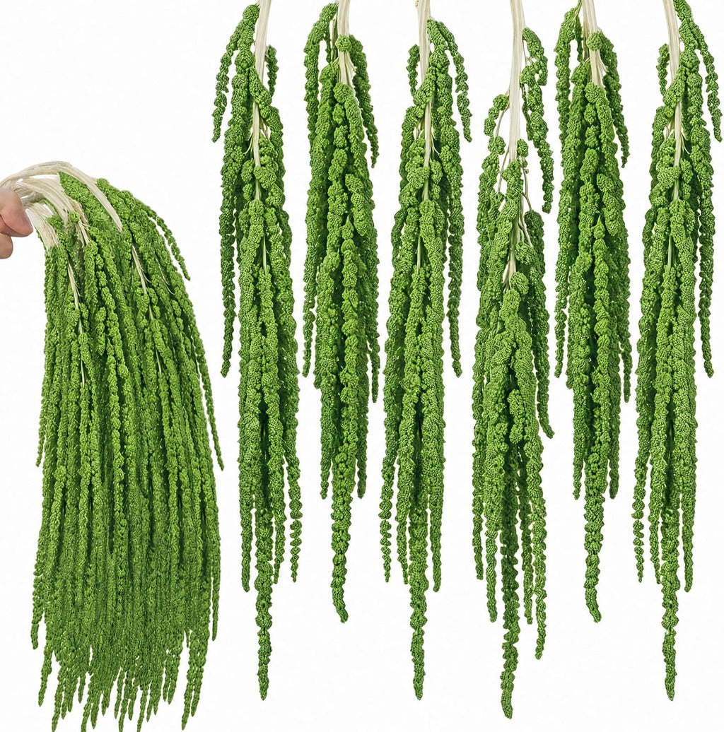 6Pcs Light Green Dried Amaranthus Hanging Flowers for Wedding Arch, 100% Natural Preserved Amaranthus Flowers for Floral Arrangement, Wall Home Decor (23 in)