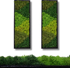yersiz Large Moss Pattern Wall Art, Real Moss Wall Art for Living Room & Bedroom, Set of 2 Vintage Wall Panels for Interior Wall Decor, Bathroom & Home Decor, Eco-Friendly Natural Green Wall Decor