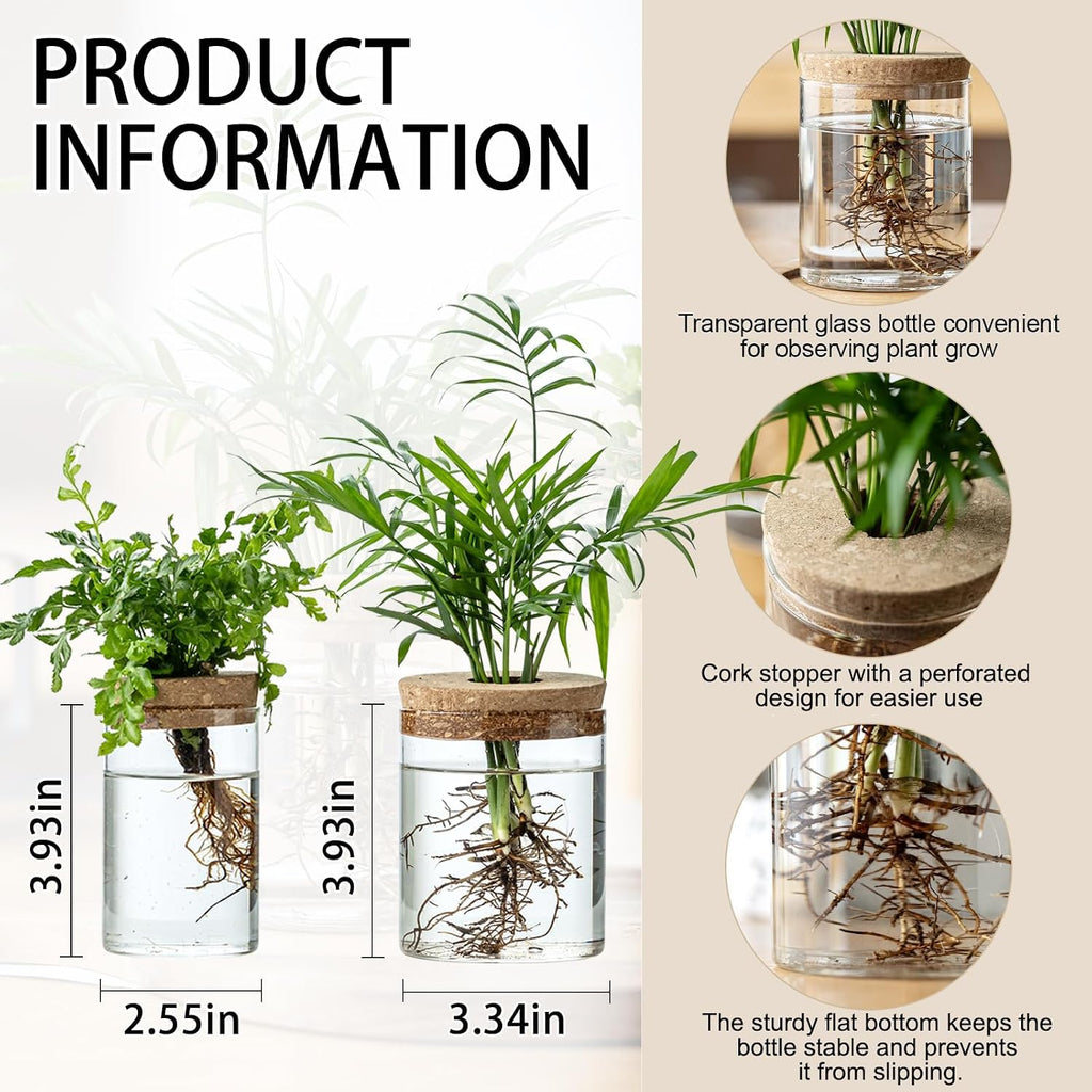 Plant Propagation Stations for Plants, 2 Size Glass Propagation Vases for Propagating Hydroponic Indoor Home Office Decor, Tabletop Glass Planter Gift for Plant Lovers (6)