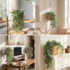 Hotop 2 Pcs Artificial Peperomia Trailing Plant Vine 26" Faux Pilea Trailing Artificial Silk Plant for Indoor Home Office Livingroom Wall Shelf Bathroom Decoration(Eyebrow Leaf)