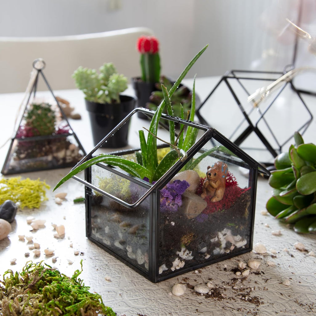 D'Eco Glass Mini Geometric Plant Terrariums 3 Pack - Triangle, House & Prism Planters for Spring Home Decor - Fill with Succulents, Cacti, Air Plants, Moss, Flowers for Plant Lovers