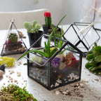 D'Eco Glass Mini Geometric Plant Terrariums 3 Pack - Triangle, House & Prism Planters for Spring Home Decor - Fill with Succulents, Cacti, Air Plants, Moss, Flowers for Plant Lovers