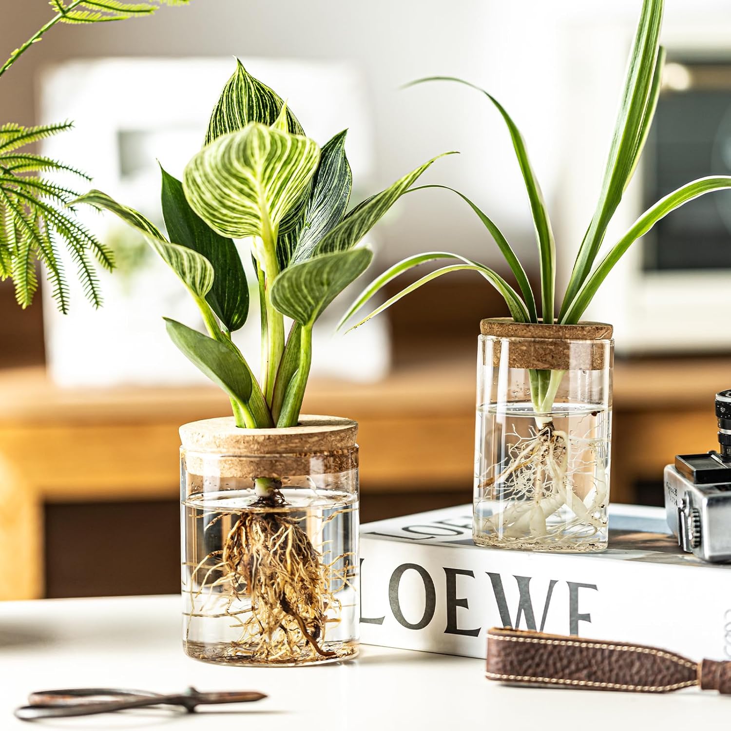 Glass Plant Propagation Stations for Plants – Set of 4(2 Large & 2 Small) Hydroponic Vases for Plant Cuttings,Flower Arrangements, Home & Office Decor–Desktop Vases for Living Room, Bedroom (4)