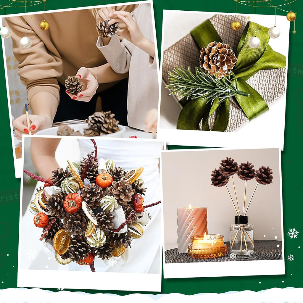 SBYURE 20 Pack 2.4 Inch Pinecones Bulk Package of Natural Pinecones Pine Cones for Crafts Home Decor Vase Filler