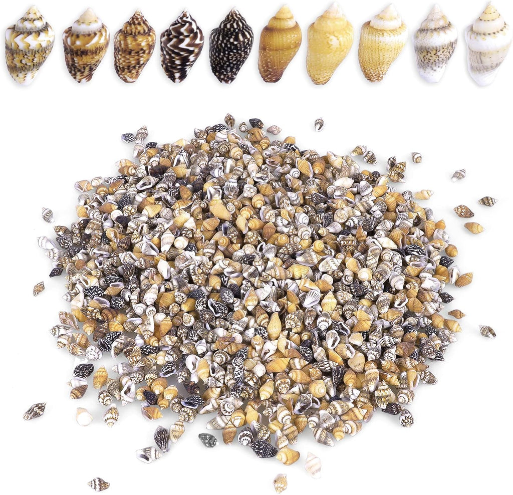 2000 PCS Tiny Mini Small Sea Shells for Crafting Spiral Conch Shells for Crafts Charms for Home Decorations Candle Decor DIY Fish Tank and Beach Vase Filler